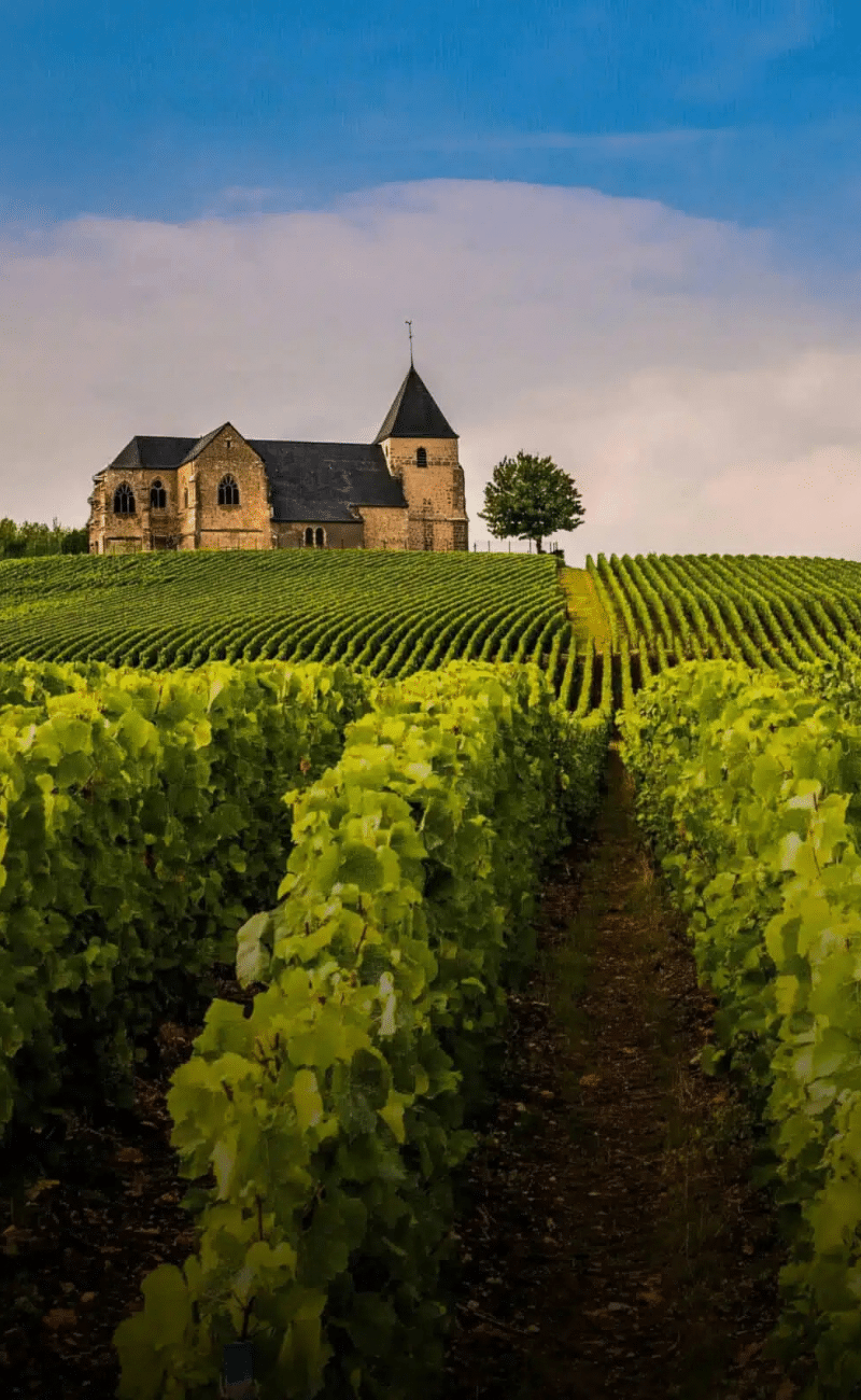 Church in the vineyards, Champagne