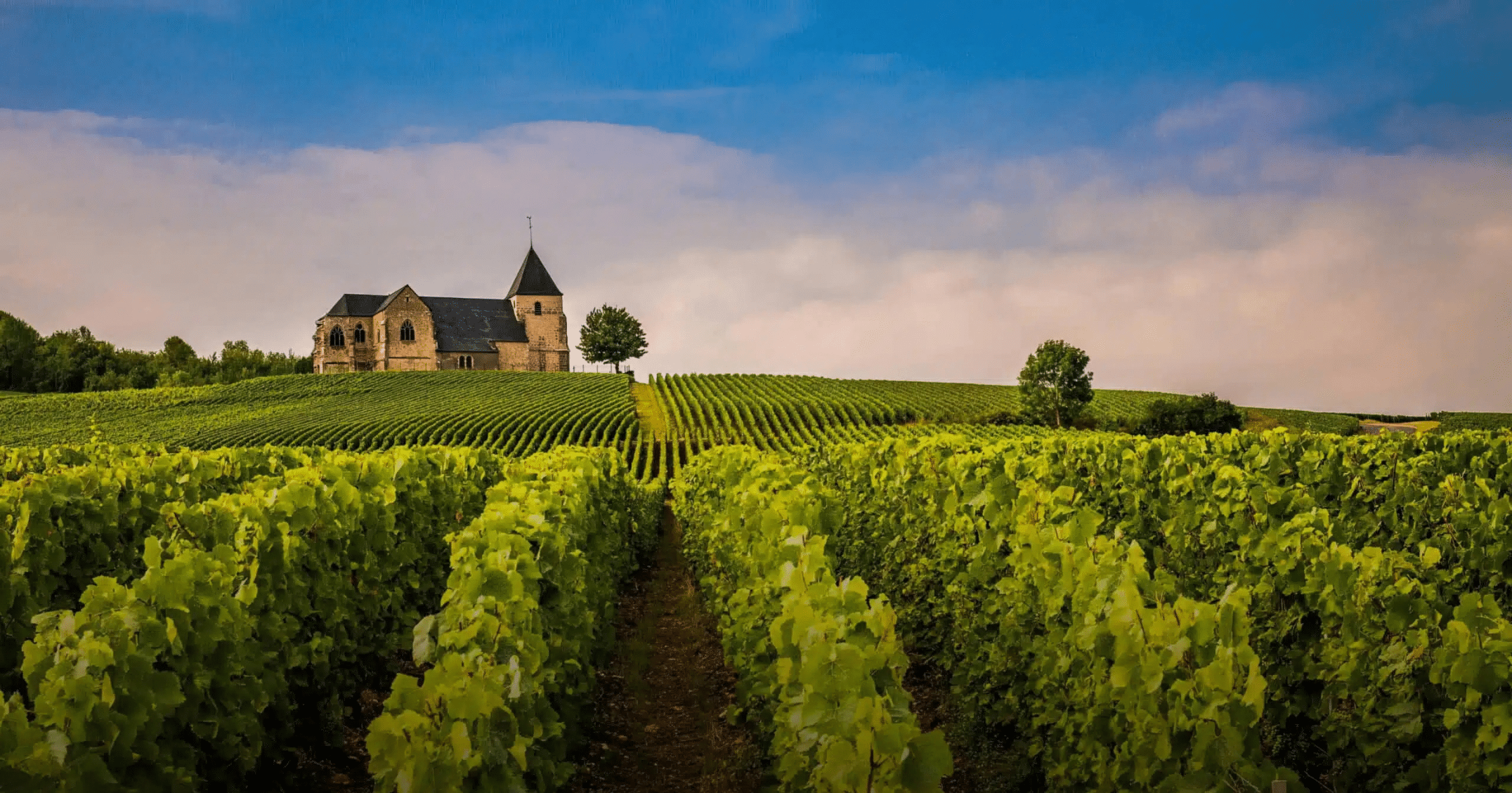 Church in the vineyards, Champagne